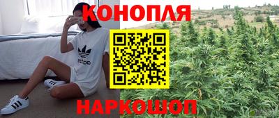 сатива Бугуруслан