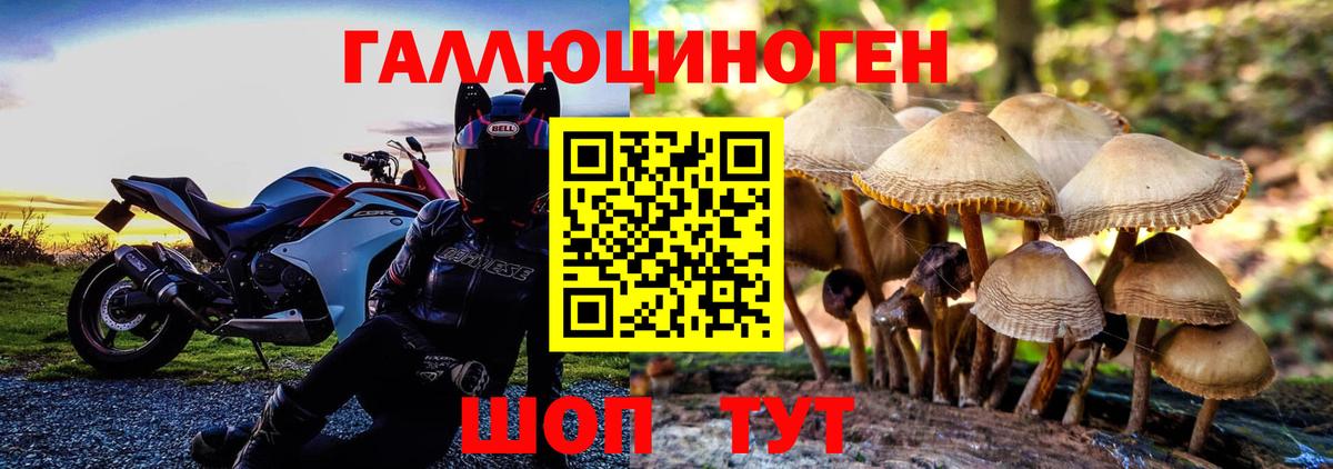 Галлюциногенные грибы Psilocybine cubensis  Псилоцибиновые грибы Psilocybe  Вход с VPN  Новосибирск 