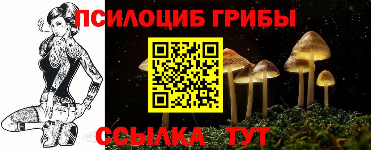 Галлюциногенные грибы мухоморы Новосибирск